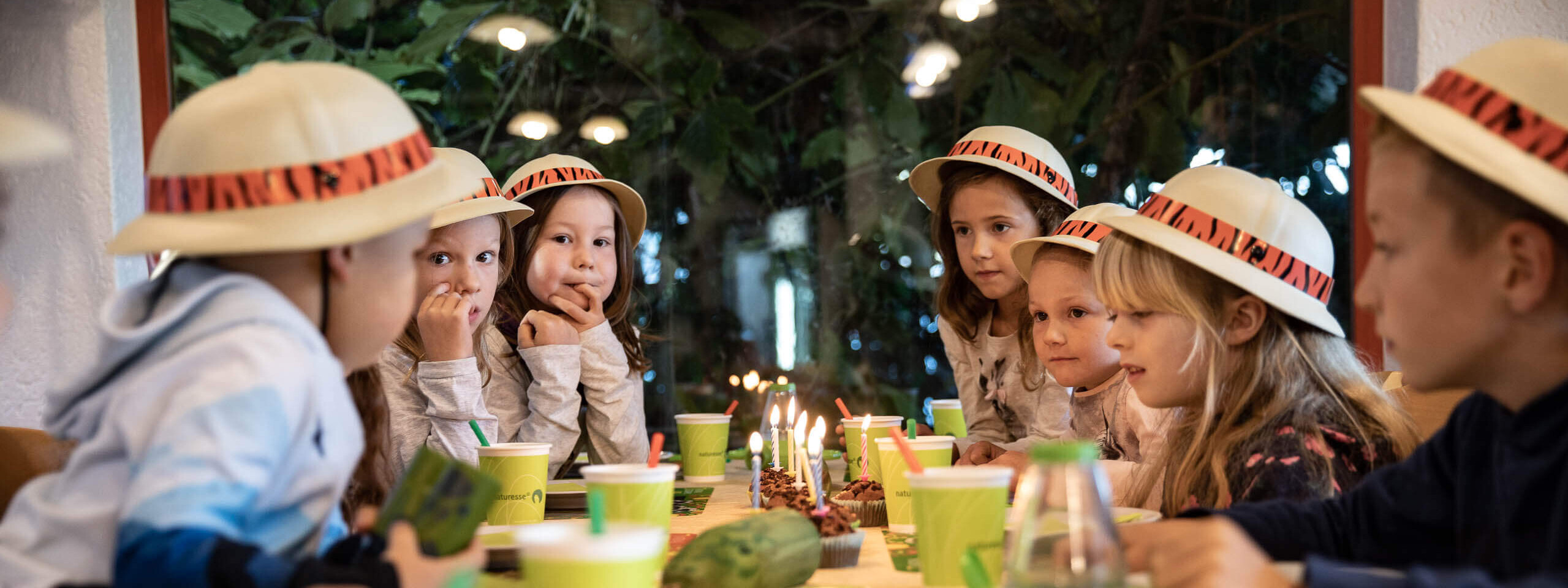 Feier deinen Geburtstag im Zoo