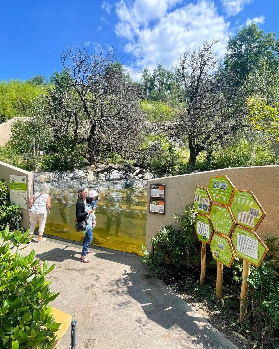 Kleine Panda und Zwergotter Anlage